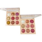 Professional Gleamy Blush Palette