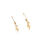 Thunder earrings